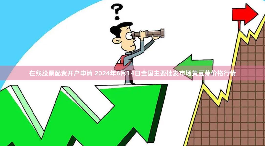 在线股票配资开户申请 2024年6月14日全国主要批发市场黄豆芽价格行情