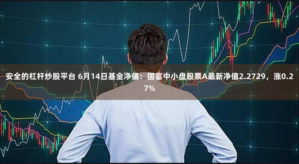 安全的杠杆炒股平台 6月14日基金净值：国富中小盘股票A最新净值2.2729，涨0.27%