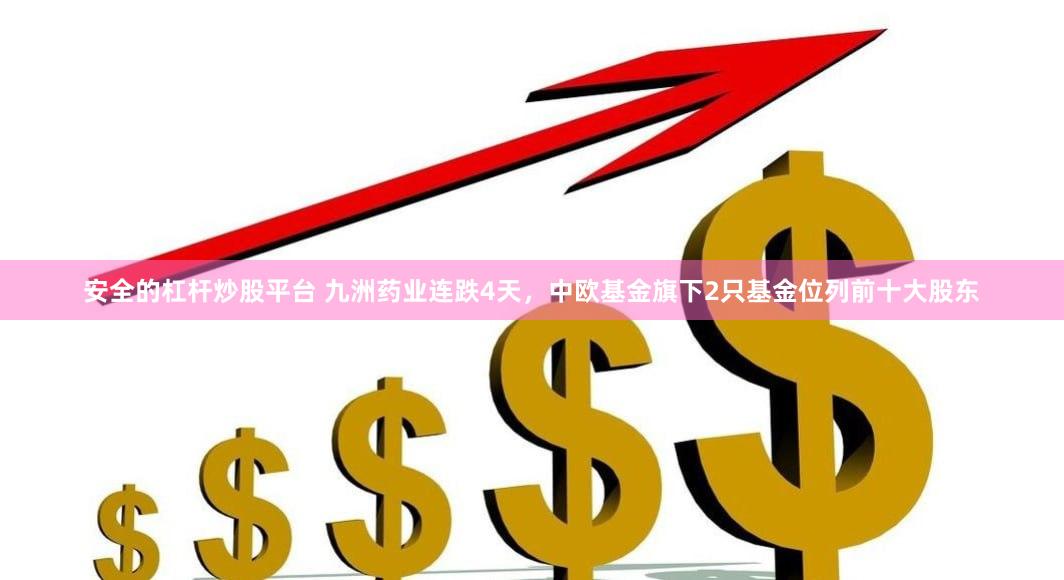 安全的杠杆炒股平台 九洲药业连跌4天，中欧基金旗下2只基金位列前十大股东