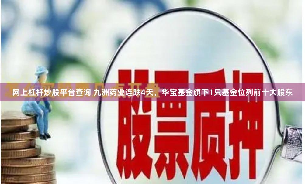 网上杠杆炒股平台查询 九洲药业连跌4天，华宝基金旗下1只基金位列前十大股东
