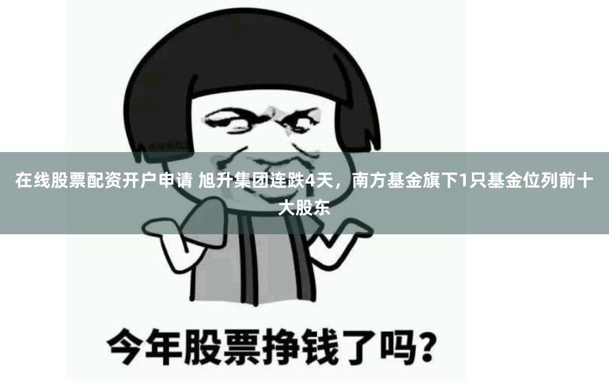 在线股票配资开户申请 旭升集团连跌4天，南方基金旗下1只基金位列前十大股东