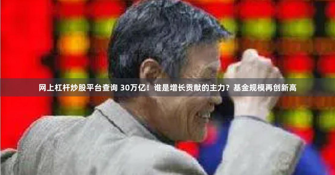 网上杠杆炒股平台查询 30万亿！谁是增长贡献的主力？基金规模再创新高