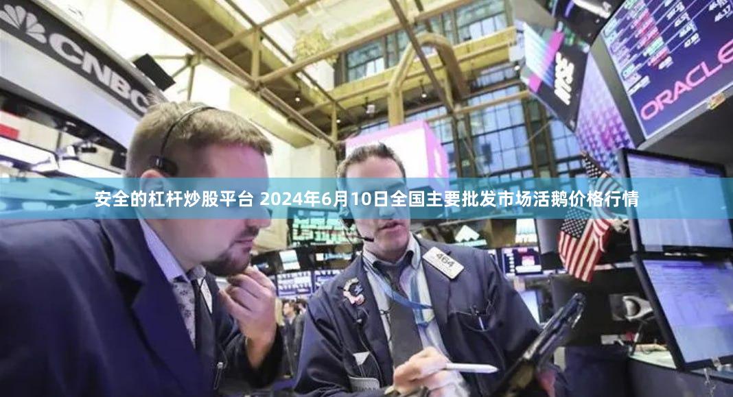安全的杠杆炒股平台 2024年6月10日全国主要批发市场活鹅价格行情