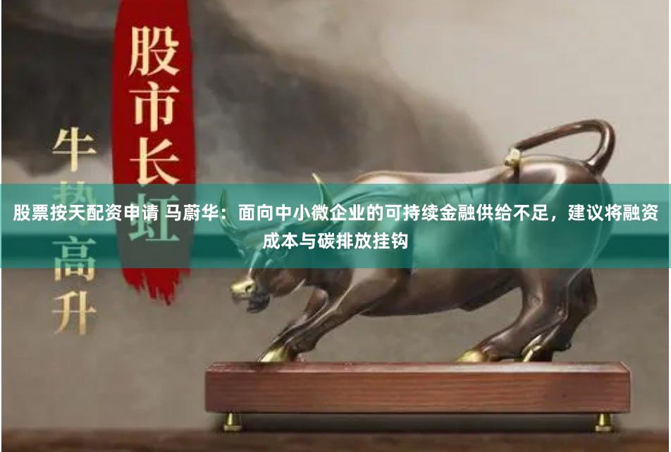 股票按天配资申请 马蔚华：面向中小微企业的可持续金融供给不足，建议将融资成本与碳排放挂钩