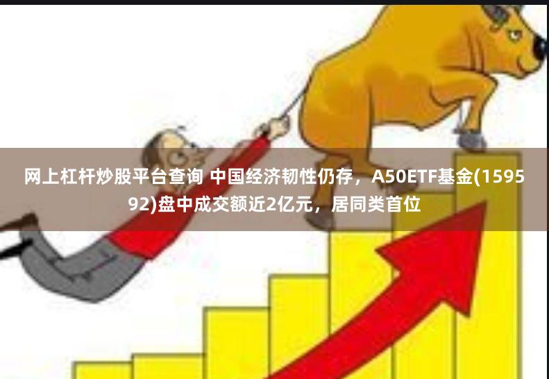 网上杠杆炒股平台查询 中国经济韧性仍存，A50ETF基金(159592)盘中成交额近2亿元，居同类首位