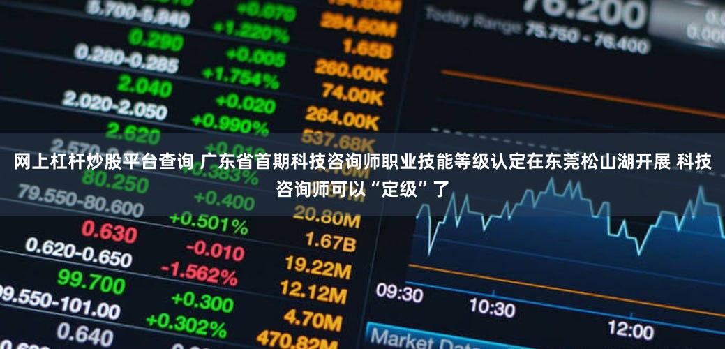 网上杠杆炒股平台查询 广东省首期科技咨询师职业技能等级认定在东莞松山湖开展 科技咨询师可以“定级”了