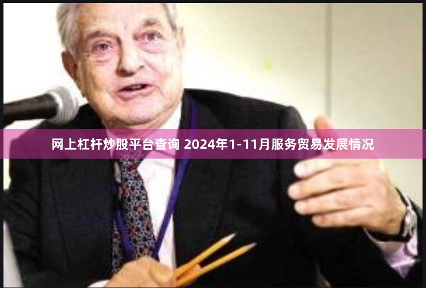 网上杠杆炒股平台查询 2024年1-11月服务贸易发展情况