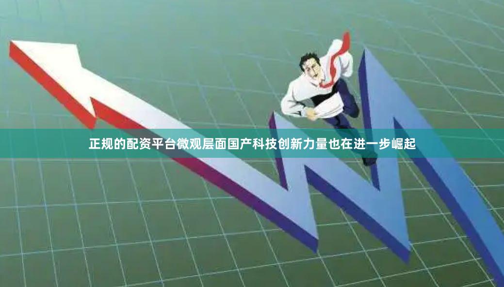 正规的配资平台微观层面国产科技创新力量也在进一步崛起